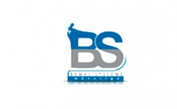 cash pro bs logo